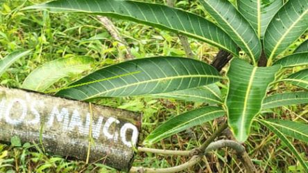 Ende Fahrradreise Indien - Feature