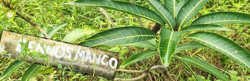 Ende Fahrradreise Indien - Feature